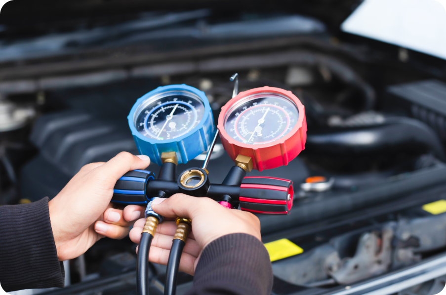 Additional Services to Consider After