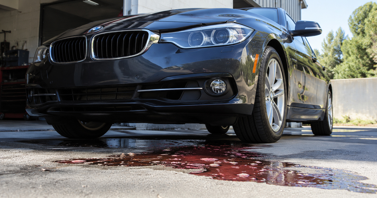 BMW Oil Leak Fix